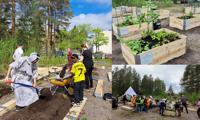 Ihmiset on istuttamassa kasveja istutuslaatikoihin.